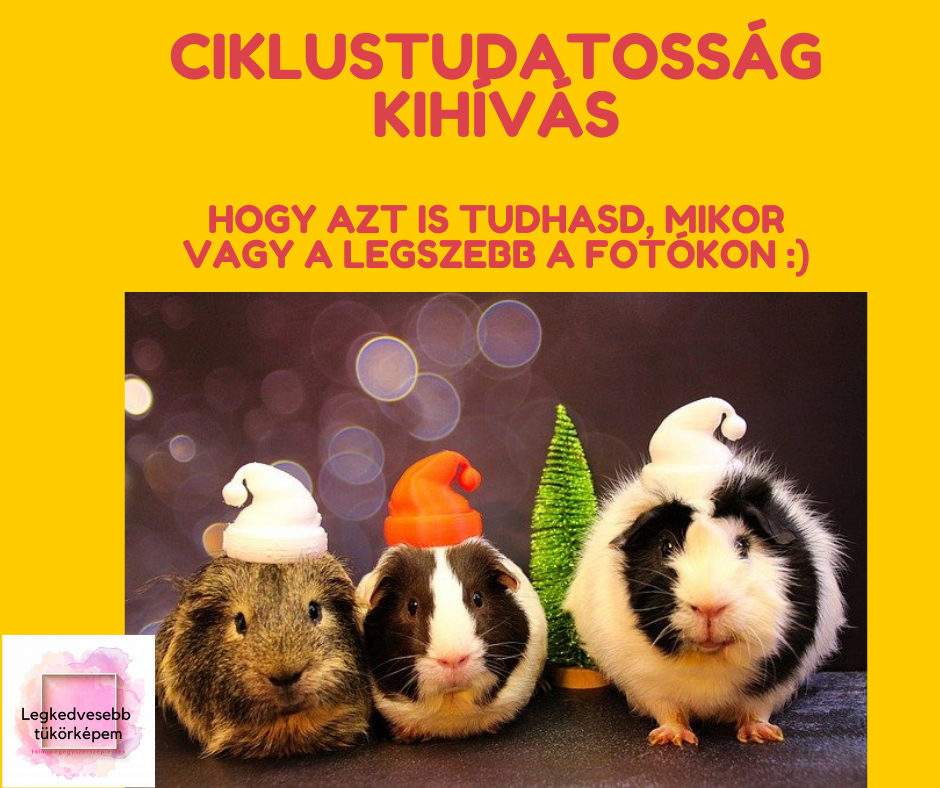 ciklustudatossag_kihivas_tengerimalacos_kep.png