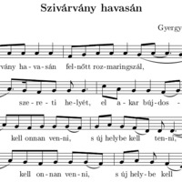 Szivárvány havasán