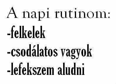 napi_rutin.jpg