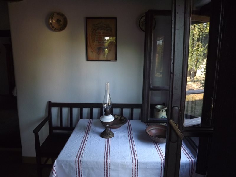 DSCF5465.JPG