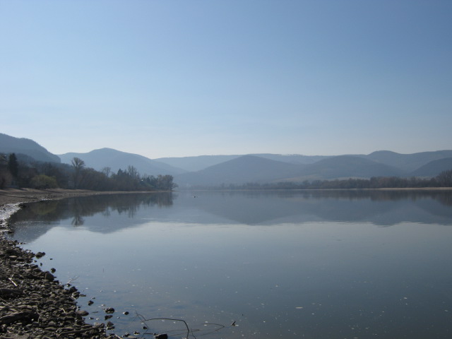 IMG_0001_1.JPG