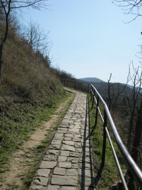 IMG_0025_1.JPG
