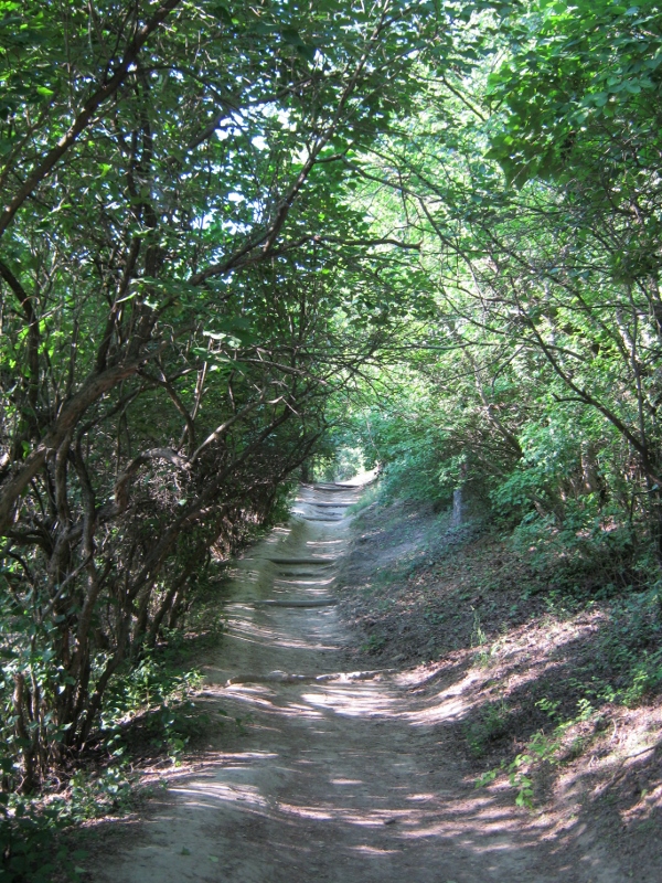 IMG_0030 (600x800).jpg