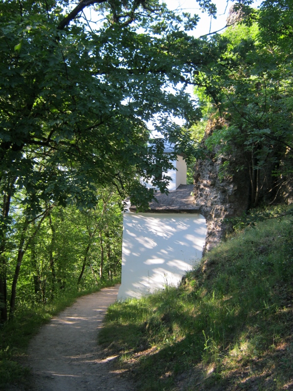 IMG_0032 (600x800).jpg