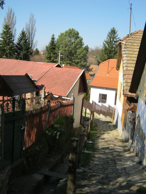 IMG_0051.JPG