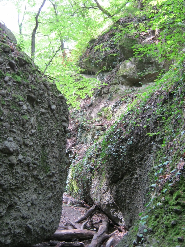 IMG_0052 (600x800).jpg