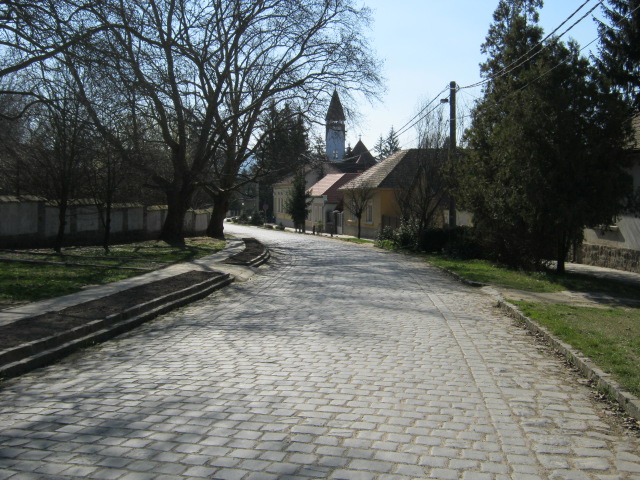 IMG_0060.JPG