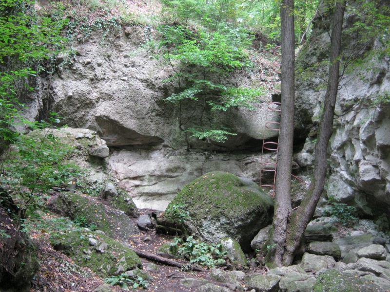 IMG_0071 (800x600)_1.jpg