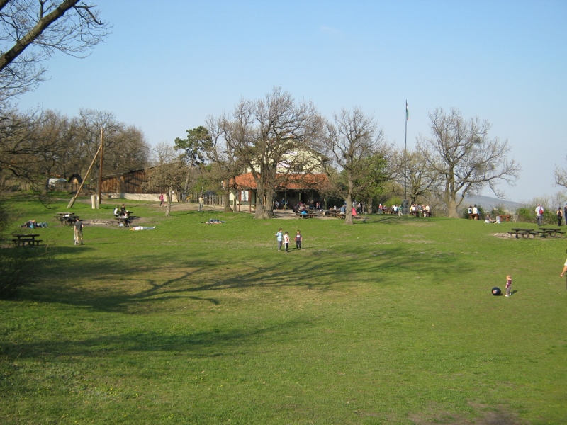 IMG_0116 (800x600).jpg