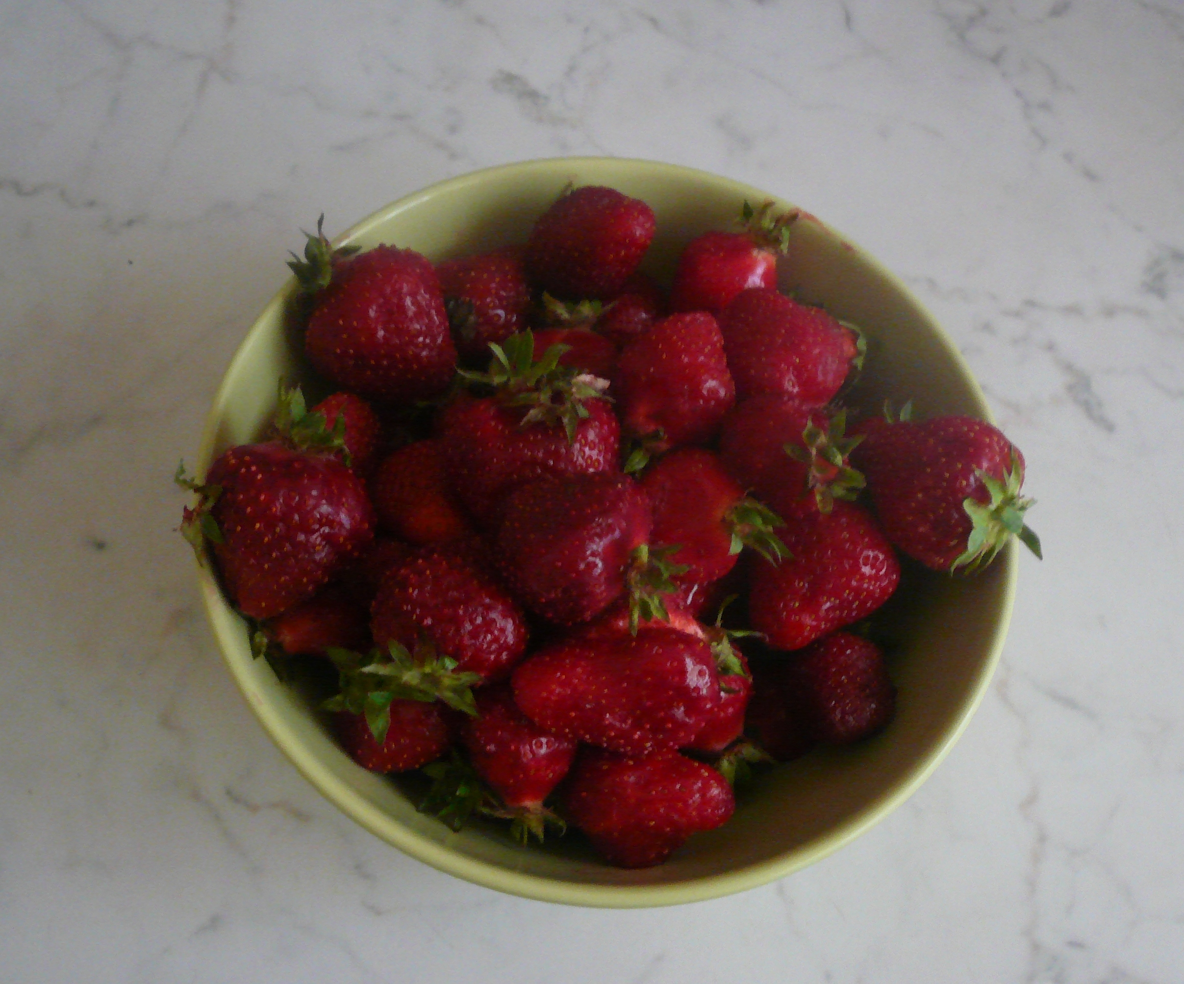 P1110460.JPG