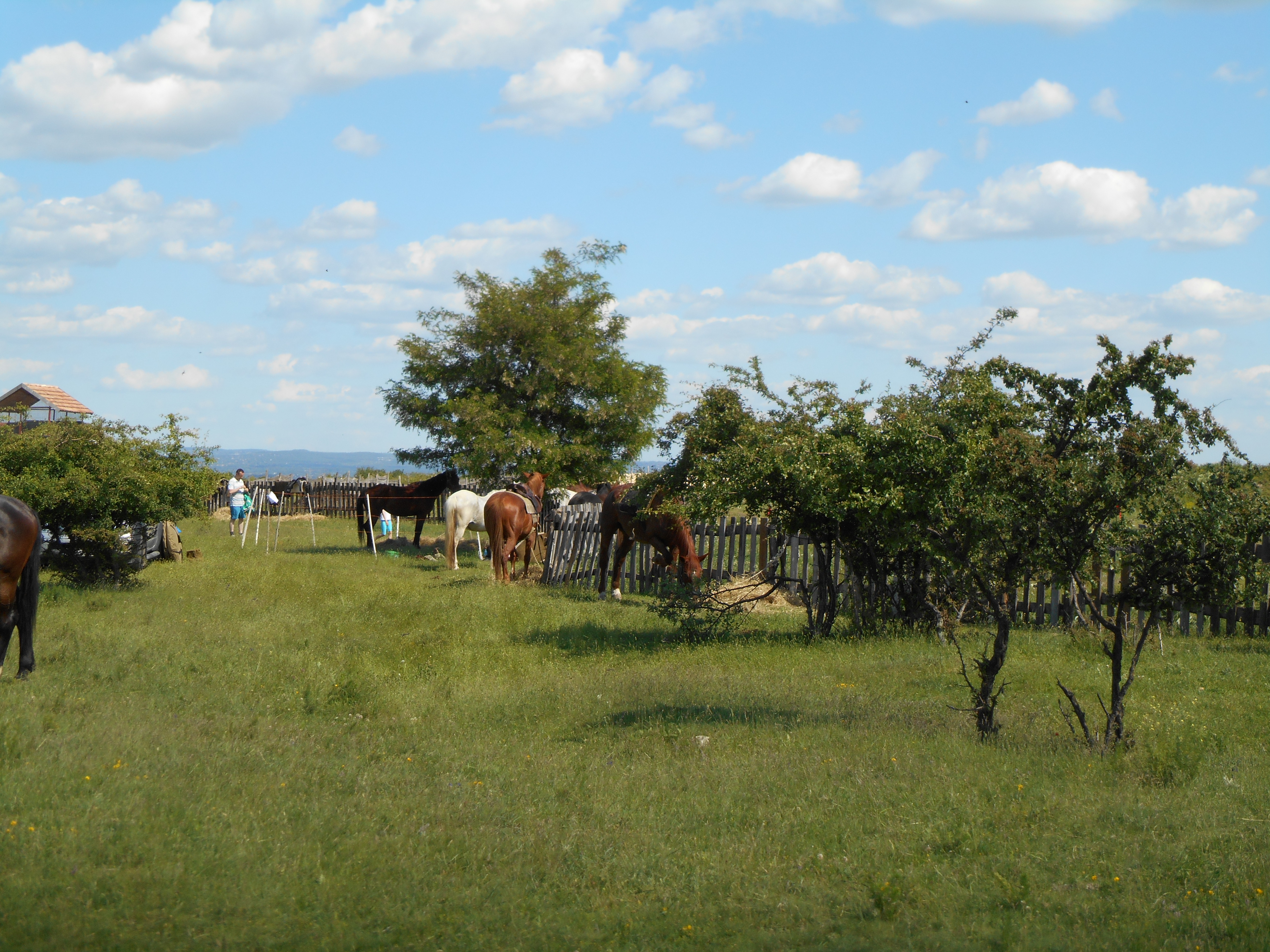 dscn0108.JPG