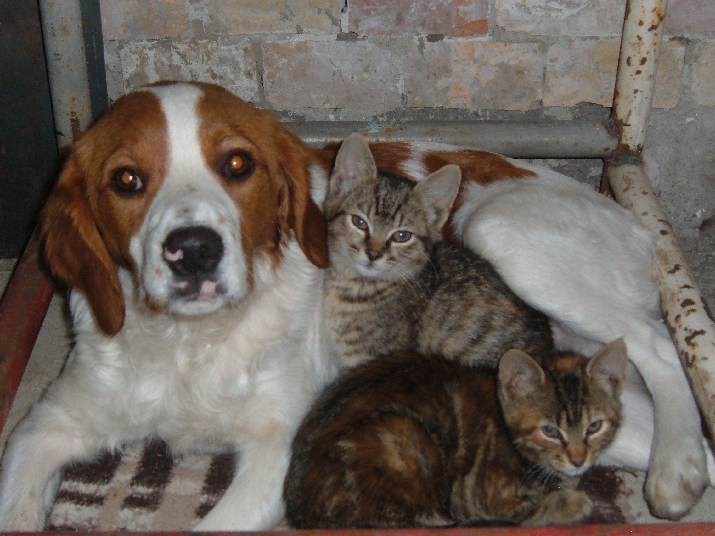 dscf4645.JPG