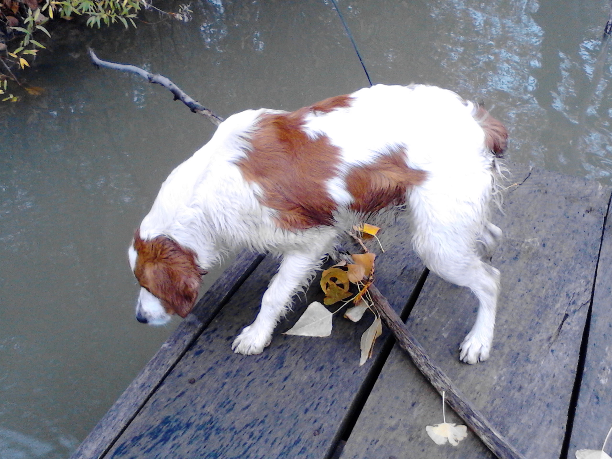 img_20131110_090917.jpg