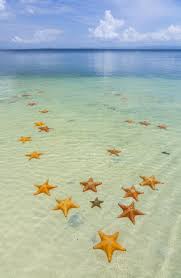 starfish_beach1.jpg