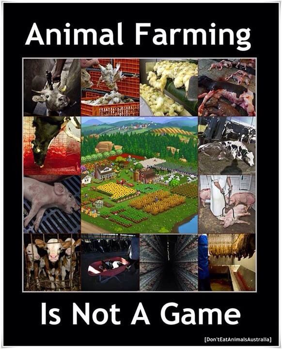 Animal farming.jpg