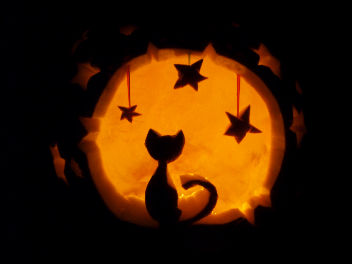Pumpkin_Cat_2_by_FlyingCarpets.png