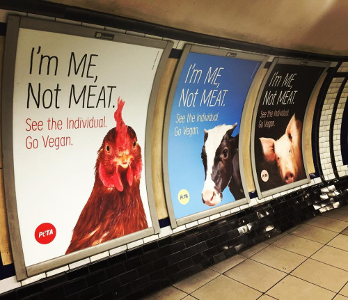 metro_london_vegan.jpg