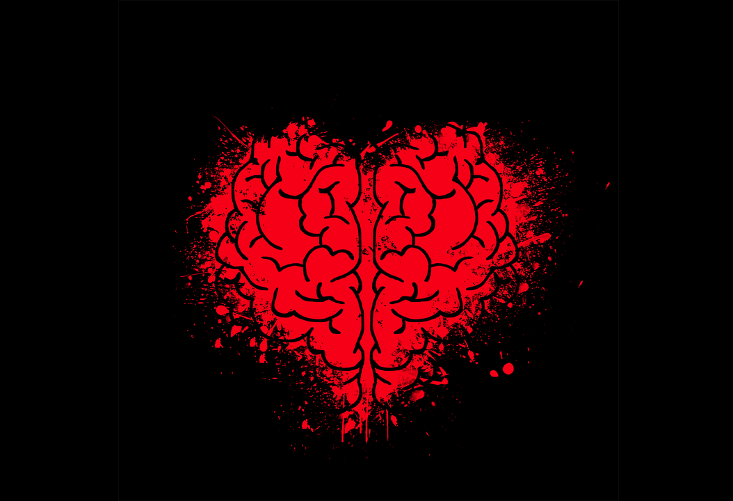 brain_heart-2356621_960_720.png