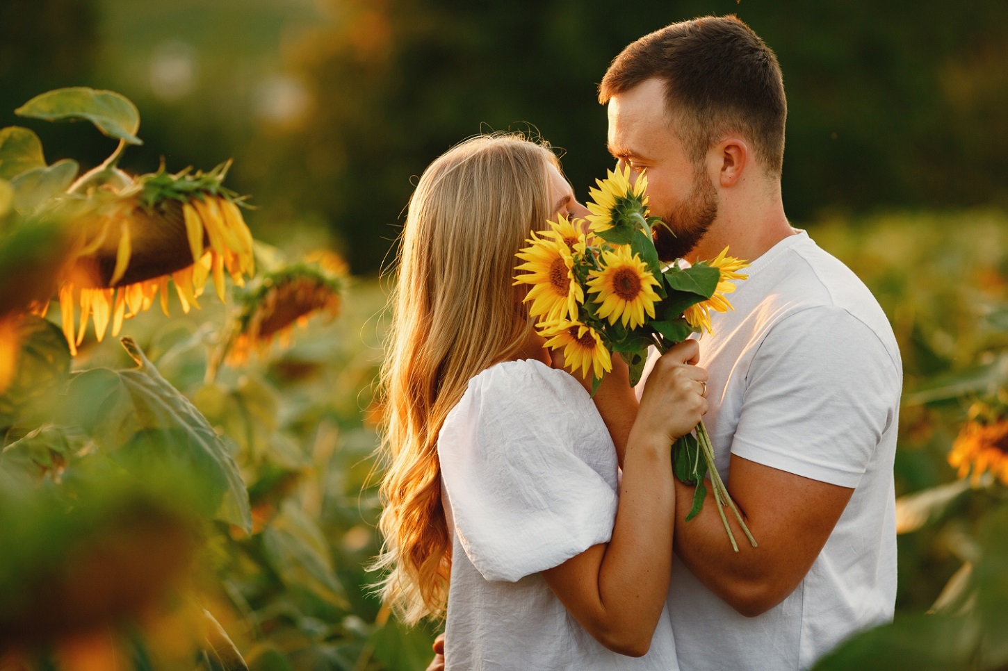 young-loving-couple-is-kissing-sunflower-field-portrait-couple-posing-summer-field_prostooleh_freepik.jpg