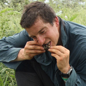 1280881708_top-10-worst-bear-grylls-meals_7.jpg