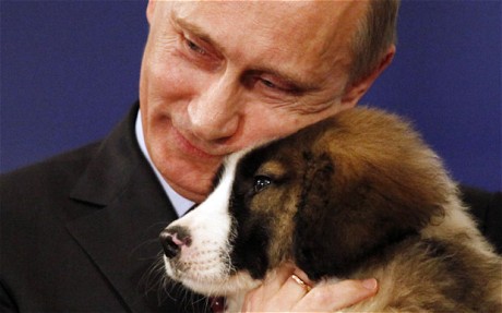 putin-puppy.jpg