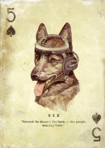 fnv-rex.jpg