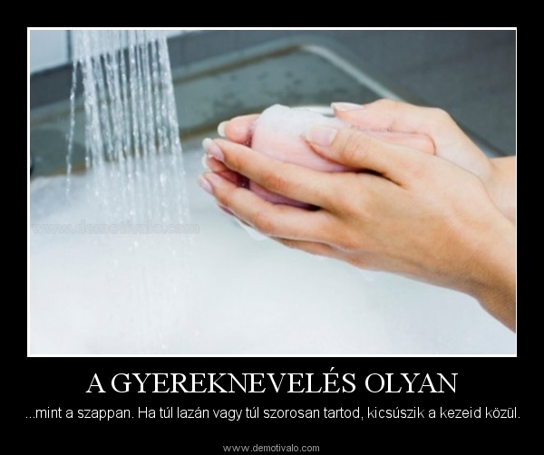 1309713835-avnhpg.jpg