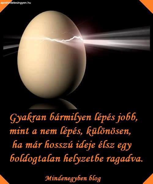 semmi-sem-allando-csak-a-valtozas-maga_51385979719.jpg