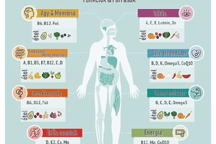 Legfontosabb vitaminok és ásványi anyagok