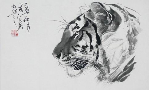 tigris_eve2_2010.jpg