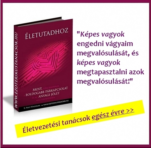 eletutadhoz.2_2.jpg