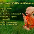 Te is félre érted-e az elhíresült Buddha mondást? Derítsd ki itt!