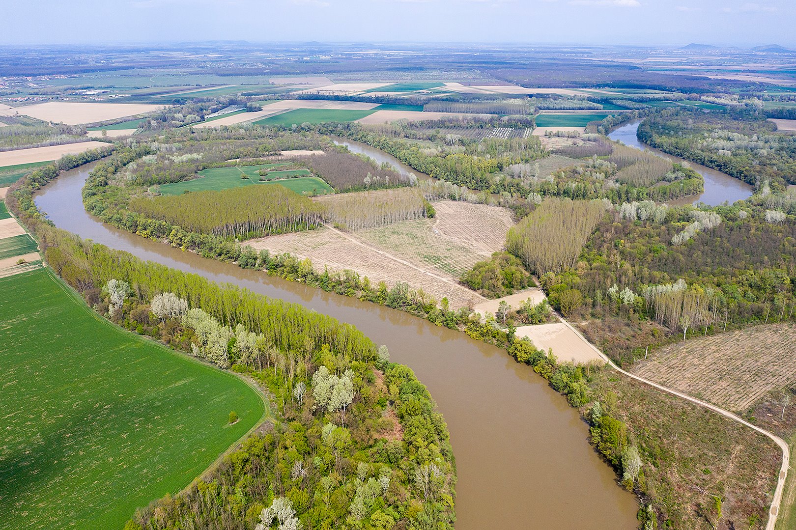 a_tisza_szatmarcsekenel_2019_04_12_molnar_peter.jpg