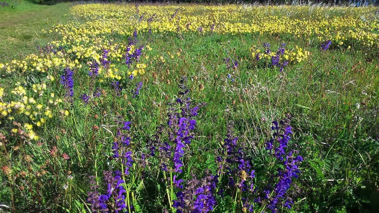 Hol fáj a vese? A vesebetegség 4 nagyon fontos tünete - Egészség | Femina