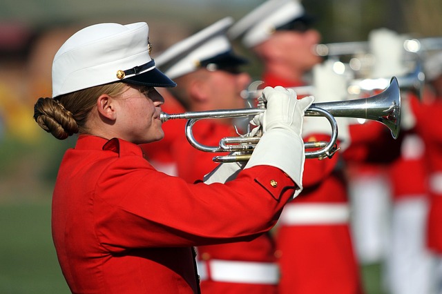 trumpeters-921696_640.jpg