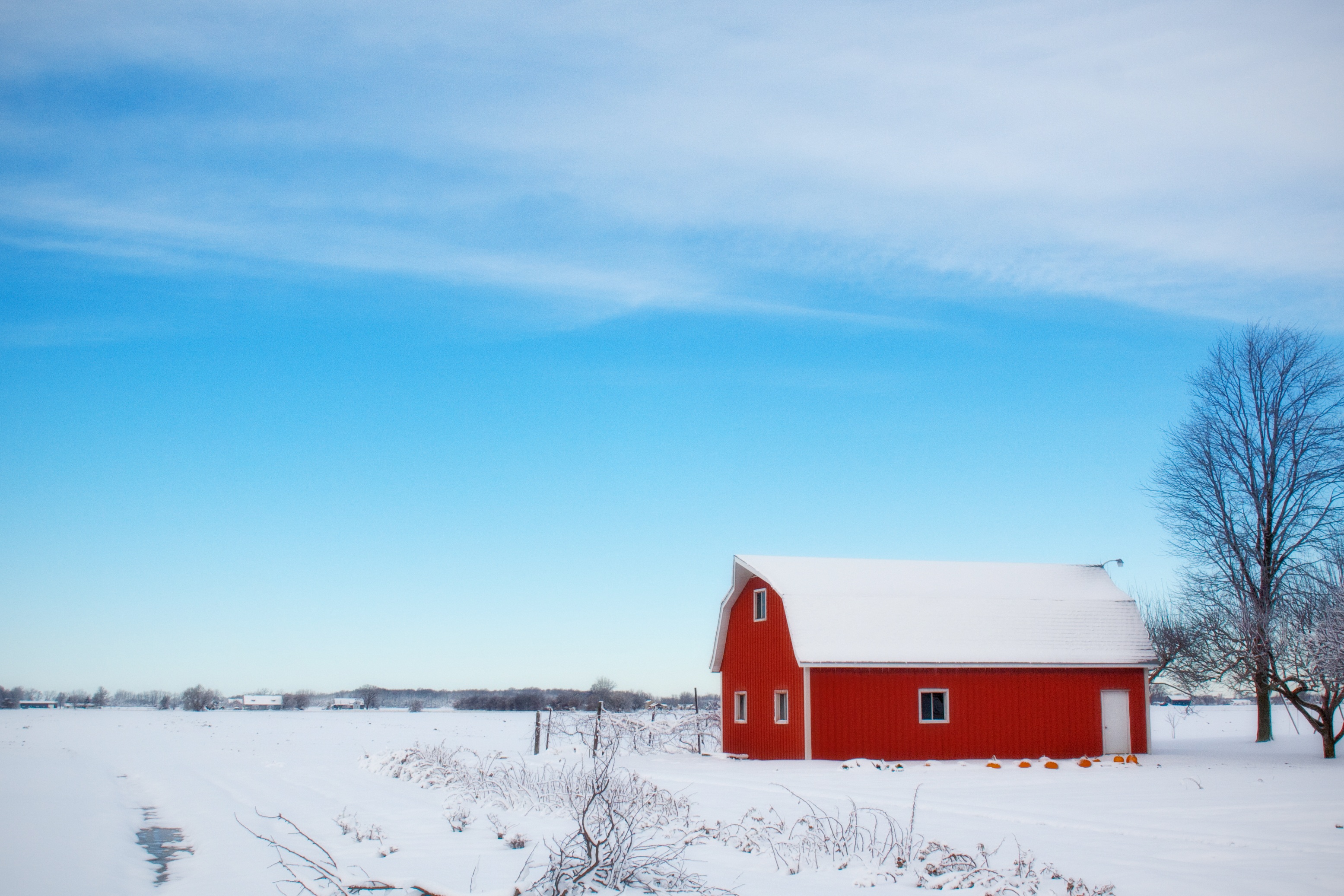 winter-barn-snow-rural-farm-39017.jpeg