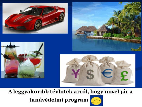 tevhitek.jpg