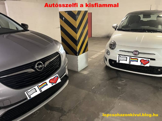 autosszelfi.jpg
