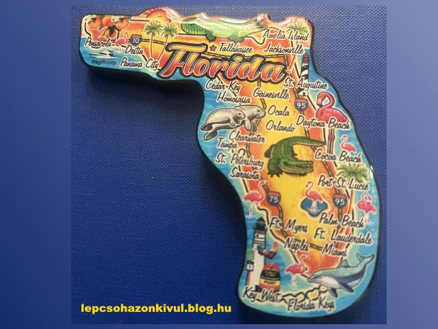 florida_magnes_kics.jpg