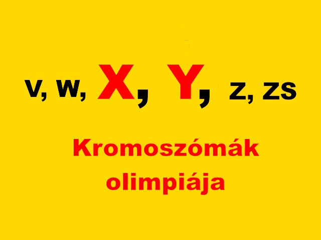 kromoszomak_olimpiaja.jpg