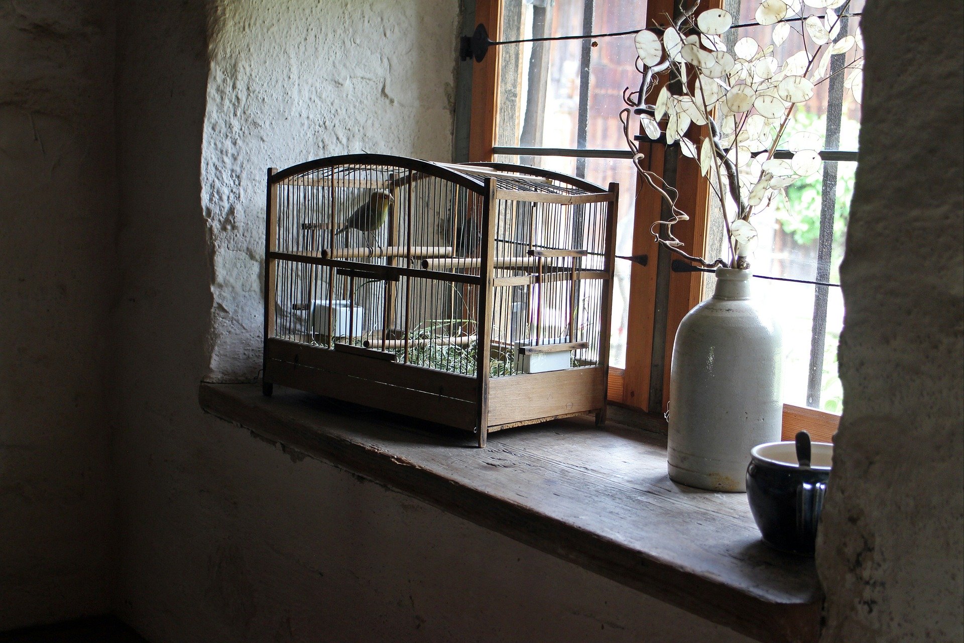 bird-cage-402205_1920.jpg