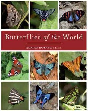 butterflies-of-the-world.jpg