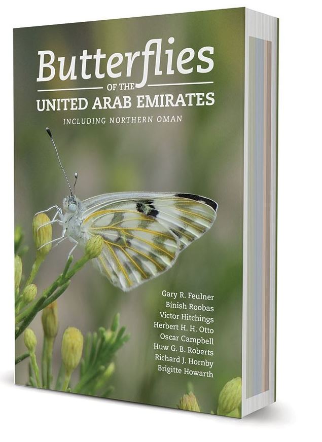 butterflies_of_the_uae_3d_small.jpg