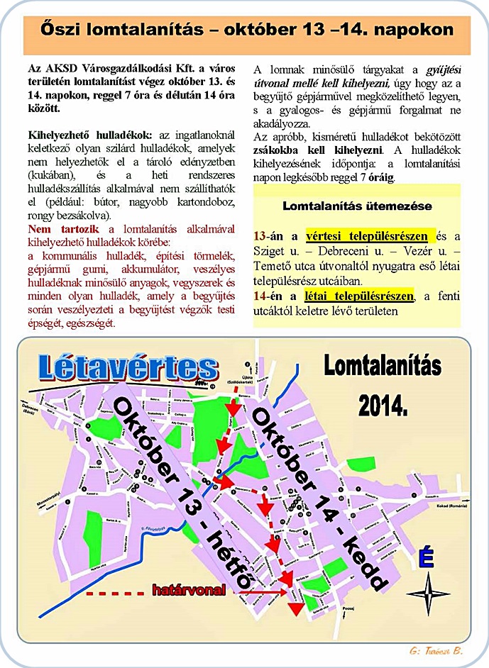 Lomtalanítás.jpg