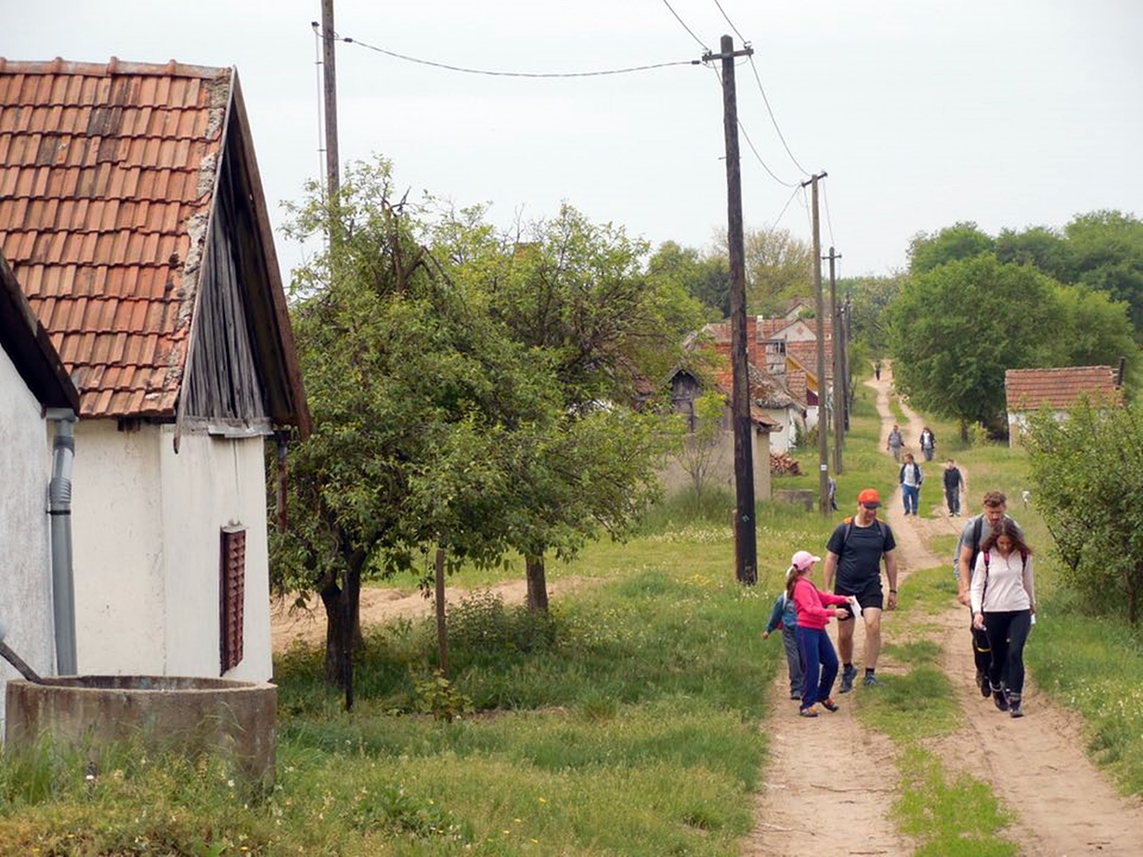 gyalogturazok_a_szoloskertben.jpg