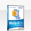 WinZip Pro 12.0.8252