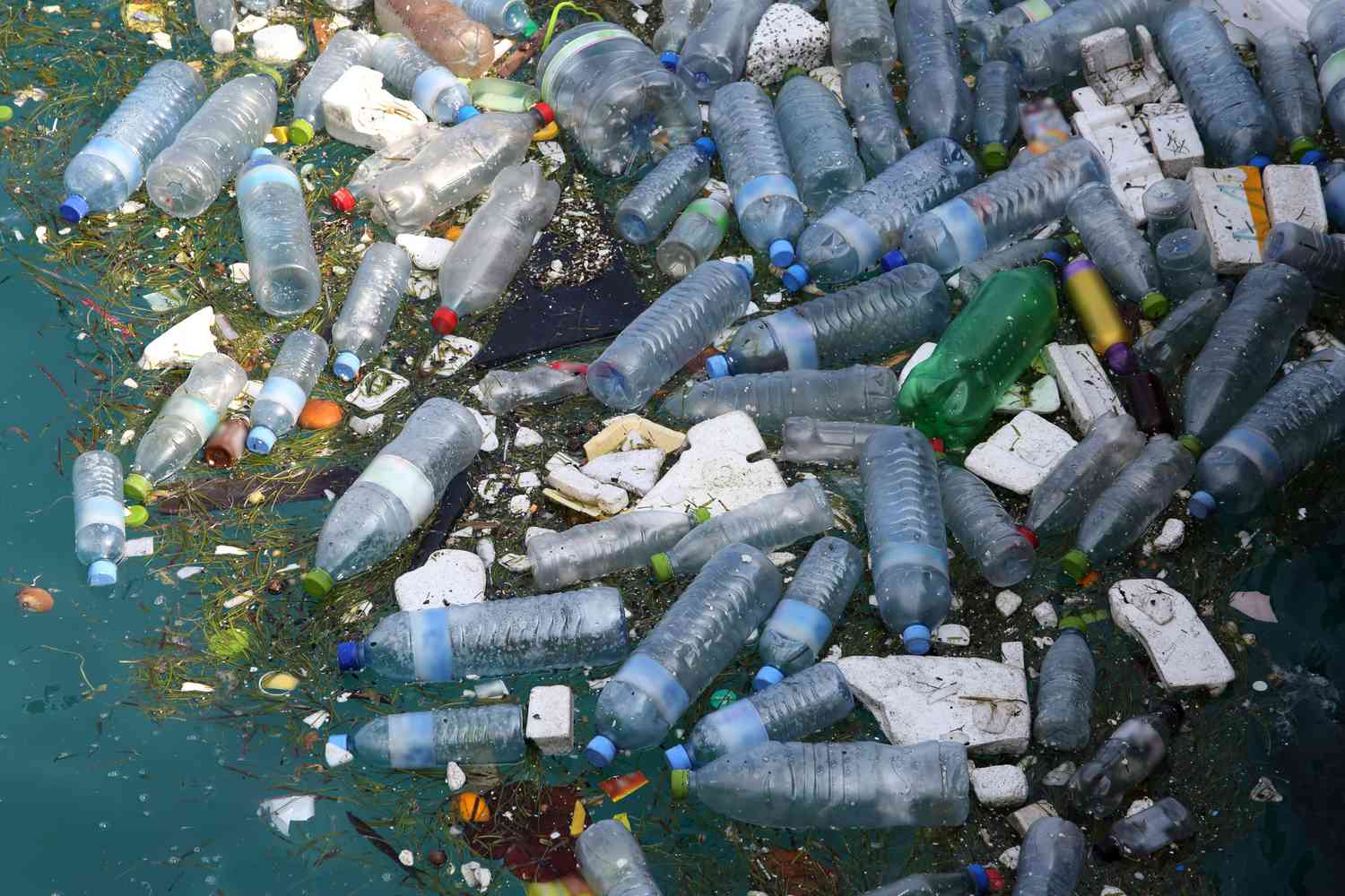 plastic-pollution-f5728798cbdb4fd0a8e223002d168a9f.jpg