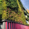 Zöld homlokzatokkal az élhetőbb városi környezetért