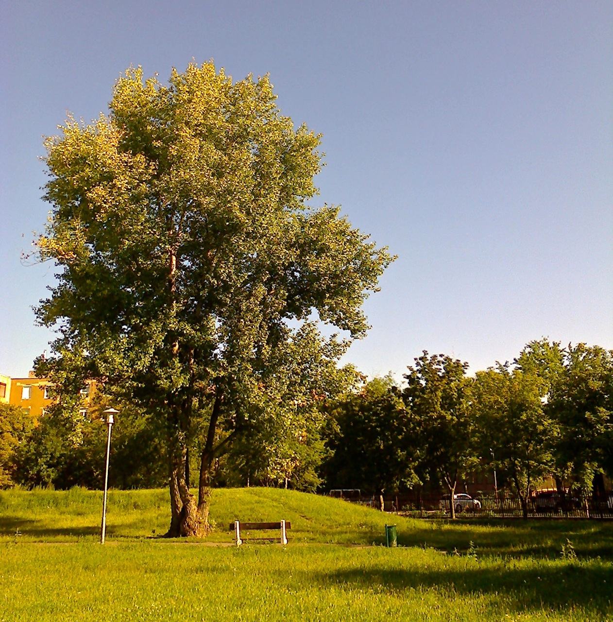 Lakótelep_park2.jpg