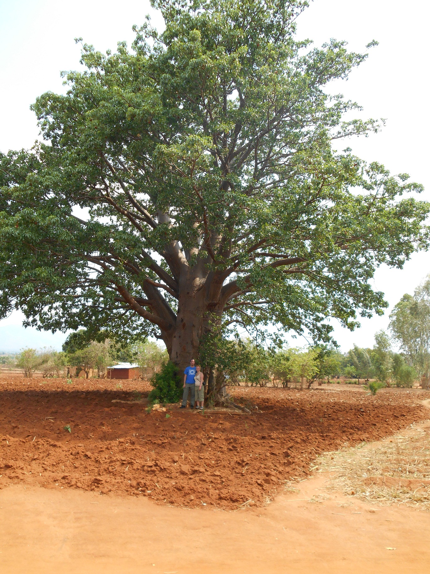 With Baobab tree.jpg
